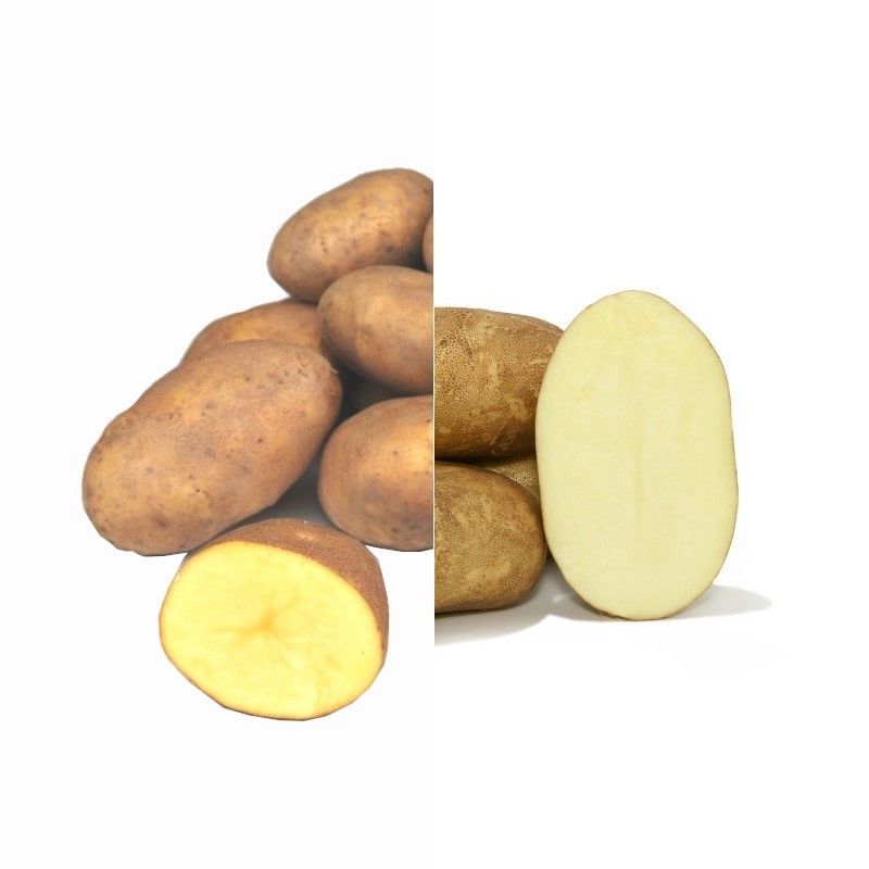 Comprar Patatas Agrias Online - Caja Terruño 10 kg